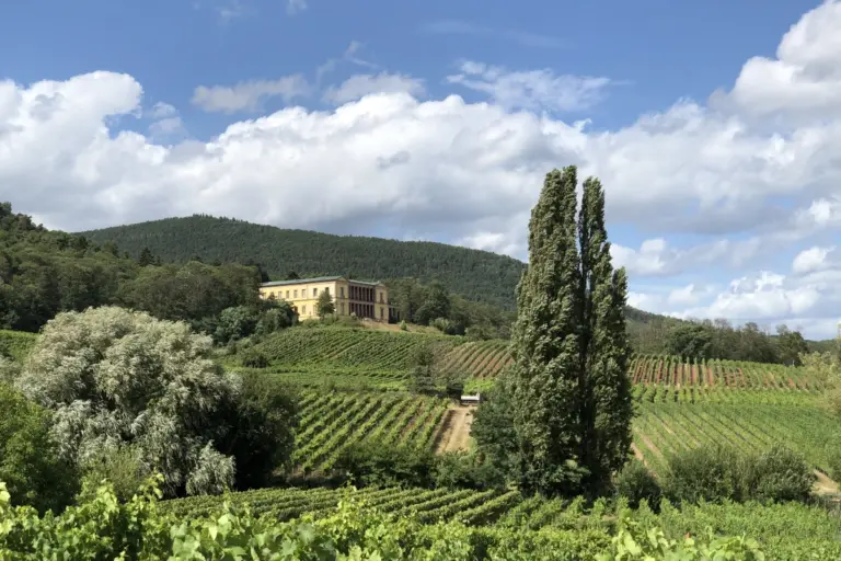 Besuch von Schloss Villa Ludwigshöhe mit Führung am 27. August